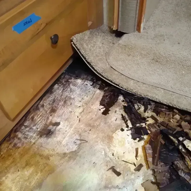 Wood Floor Water Damage in Lyons, IL